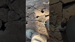 #destruction #construction #albañilería #home #antesedepois #viralshorts