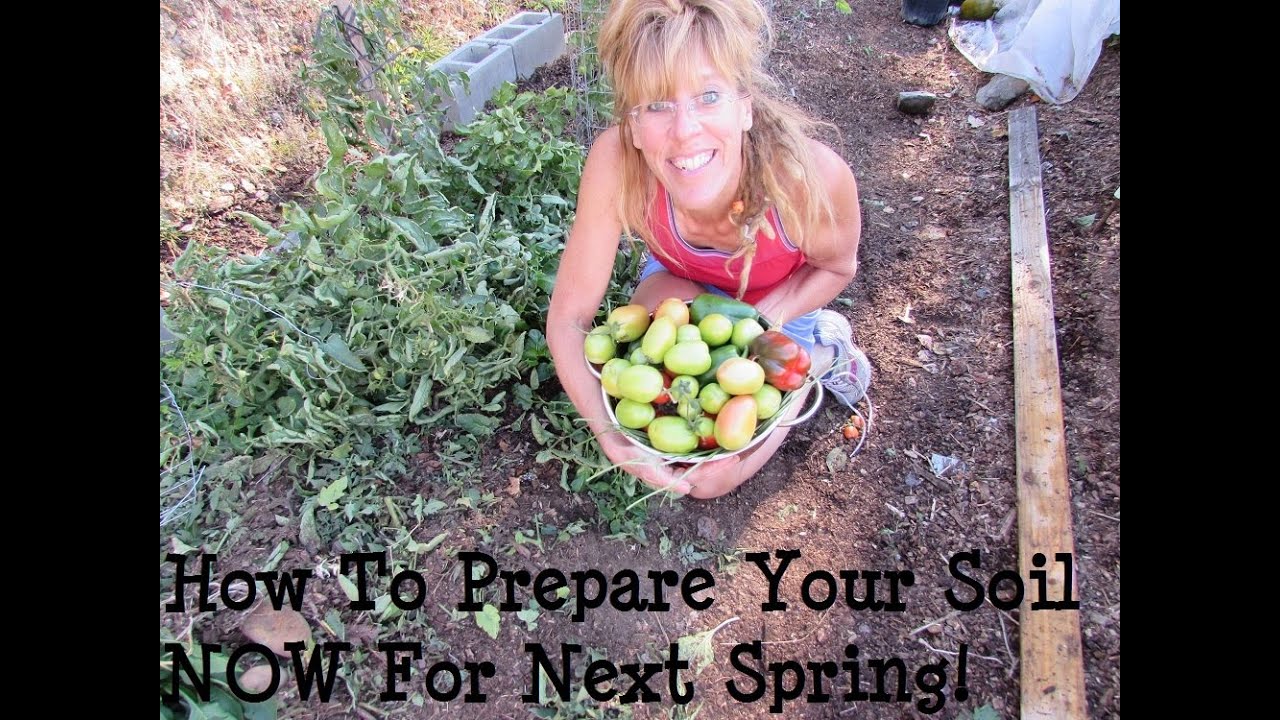 Back To Eden Garden: HOW TO PREPARE YOUR SOIL