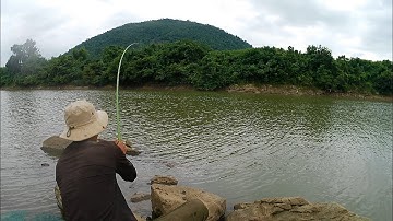 Câu sông lớn sông Krông năng câu toàn trúng cá rô phi