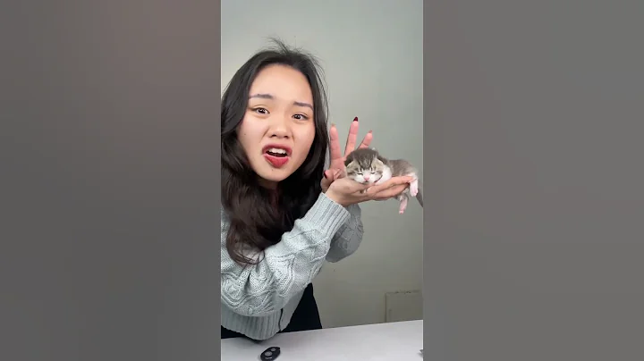 Những lưu ý khi mèo mới sinh phần 1 #mèo #thaomeo