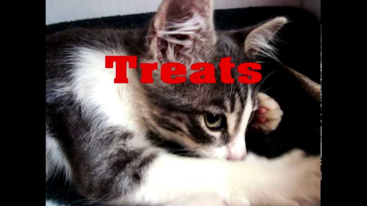 clannad dating sim english