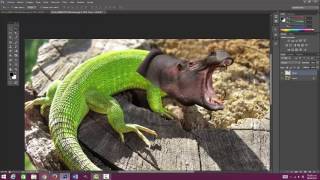Montaje de animales / FADU screenshot 2
