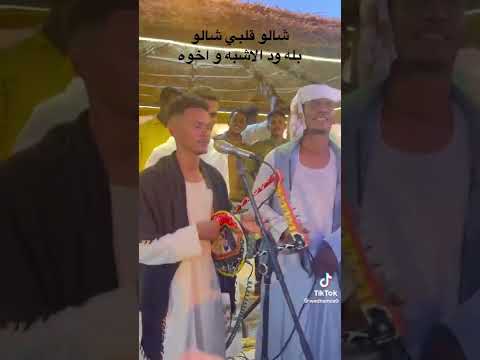 بله ود الاشبه شالو قلبي شالو