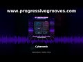 Cyberverb Electronic Music Template