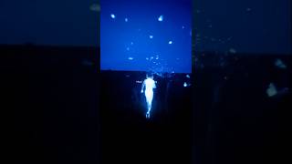Avicii - The Nights | Live A Life You Will Remember 🥀 (Aesthetic Lyrical Status)