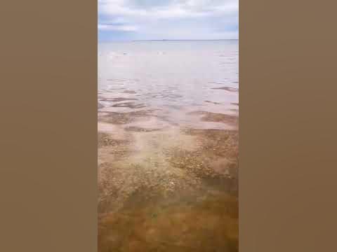 Пирита пляж, Таллинн, Эстония. - YouTube