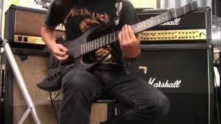 Steinberger synapse DEMON バッグ付き Steinberger synapse DEMON バッグ付き 8本目】Steinberger Synapse