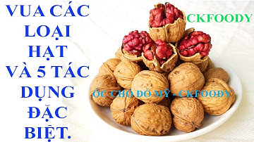 5 TÁC DỤNG ĐẶC BIỆT KHIẾN QUẢ ÓC CHÓ ĐƯỢC VÍ LÀ VUA CÁC LOẠI HẠT..(Ckfoody)