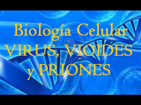 Vídeo: Diferencia Entre Priones Y Viroides