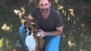 Collars & Choke Chains