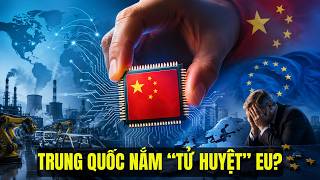 Trung Quốc Nắm “Tử Huyệt” Công Nghiệp EU? Vài Con Chip Khiến Cả Châu Âu Lao Đao