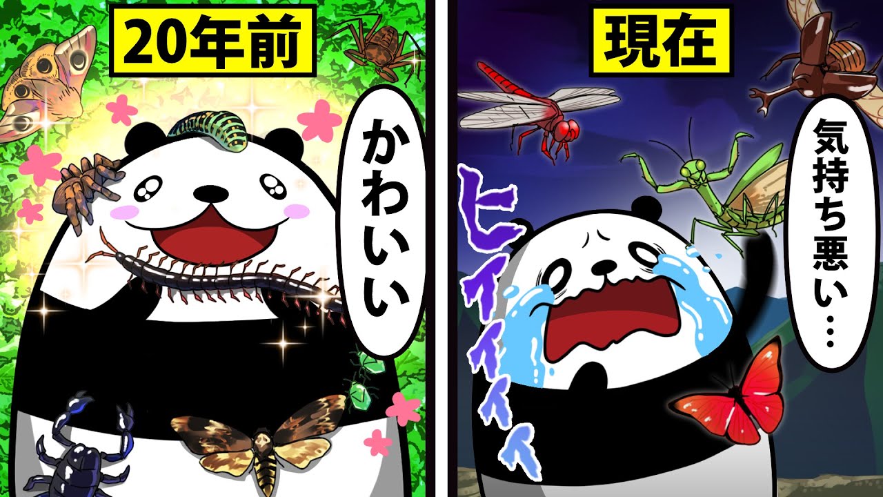 【アニメ】なぜ人は虫を怖がるのか？