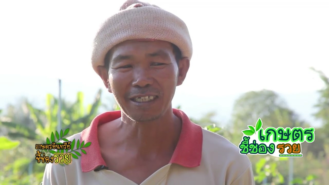 Программа об органическом земледелии: Путь к богатству. Эпизод 122. Вопрос: Как вырастить высокок...