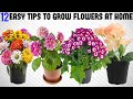 12 Tricks To Grow Tons of Flowers at Home | EASY TIPS