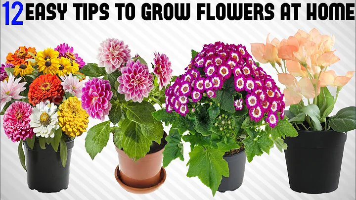 12 Tricks To Grow Tons of Flowers at Home | EASY TIPS - DayDayNews