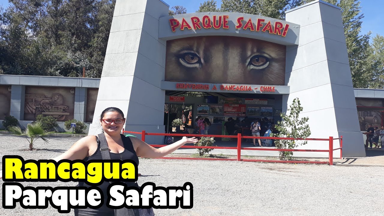 parque safari rancagua del propietario