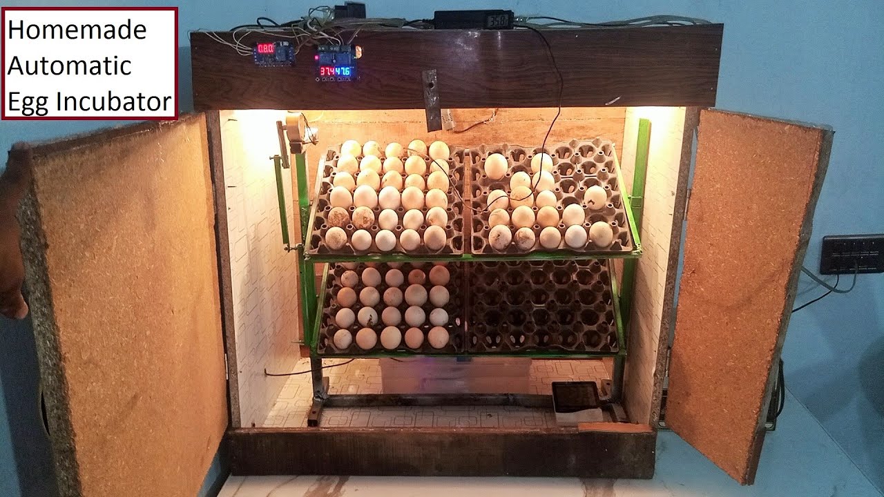 How To Make Full Automatic Egg Incubator At Home Homemade Automatic Egg Incubator Egg