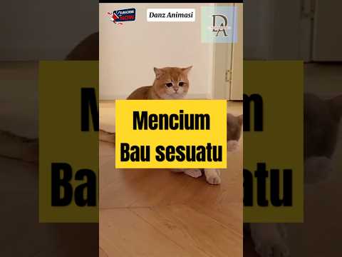 mencium bau sesuatu