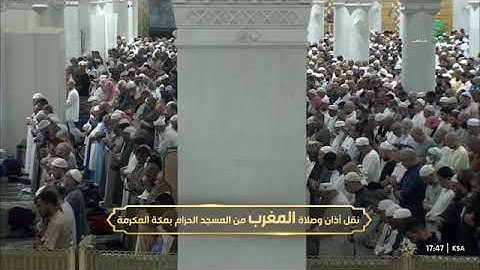 تلاوة ندية من سورة فصلت 30-36 للشيخ أ.د. #عبدالرحمن_السديس مغرب الأربعاء 19 جمادى الآخرة 1447هـ