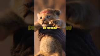 Did You Know For The Lion King thelionking simba