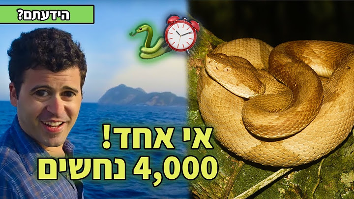 24 שעות באי המסוכן בעולם! (אי הנחשים)