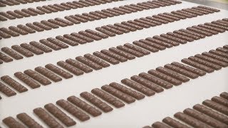 Praca W Fabryce Czekolady Mondelez - Akcja Rekrutacja