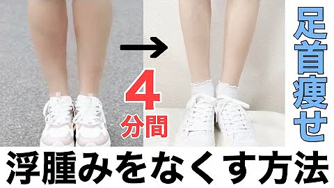 Download Arianaチャンネル Mp4 Mp3