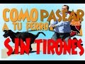 Como enseñarle a mi perro a NO jalar de la correa - Clase Adiestramiento.