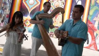 Video thumbnail of "Las Mañanitas Huastecas"