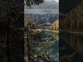 Unspoken Reflections #naturepause #calmscene | What kind of stillness brings you peace?
