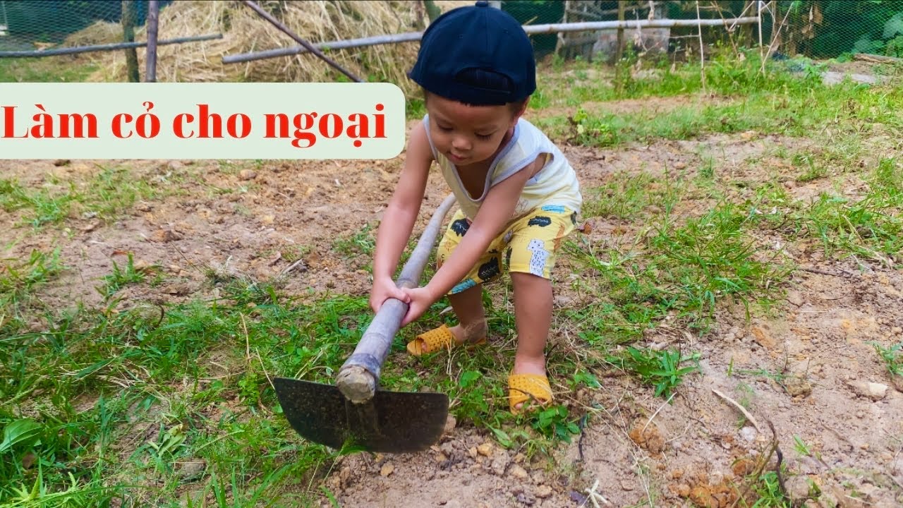 Làm cỏ giúp ngoại - YouTube