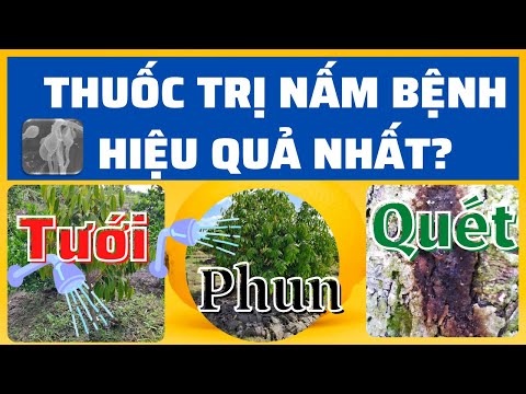 Video: Nấm Fusarium - Thông tin về Phòng ngừa và Kiểm soát Fusarium