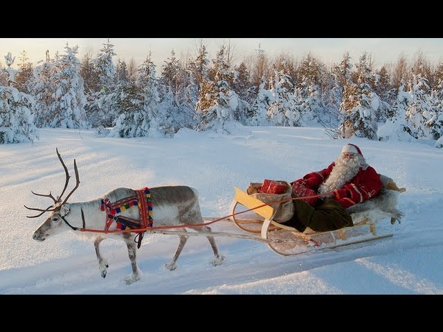 real santa and his reindeer