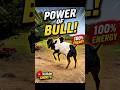 Bull 🐂 power 🔥 #2026 #cow #bull
