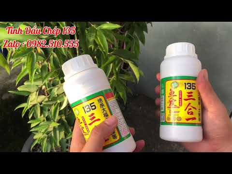 Video 200k Tinh Mùi 135 Chuyên Câu Cá Chép II A Cường... - youtube