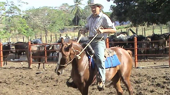 VOY ARRENDAR MI CABALLO LYM: EDUARD MENDOZA