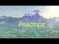 BotW any% practice