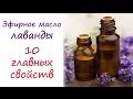 Масло лаванды: 10 главных свойств