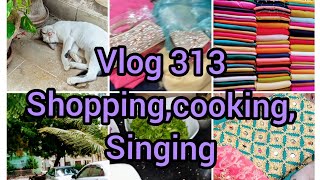 Visit to market/shopping/cooking/singing/My daily routine/Vlog 313/Sindhi