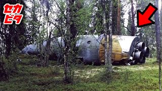 偶然見つけたあまりに予想外なもの12選