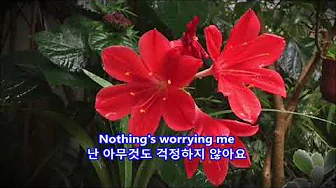Raindrops Keep Falling on My Head - B.J. Thomas: with Lyrics(영어가사/한글번역) Raindrops Keep Falling on My Head - B.J. Thomas: with Lyrics(영어가사/한글번역)