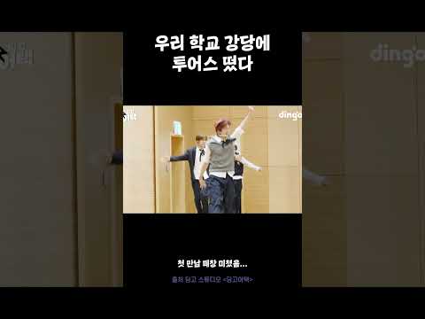 우리 학교 강당에 투어스 떴다 #딩고어택 #투어스 #TWS