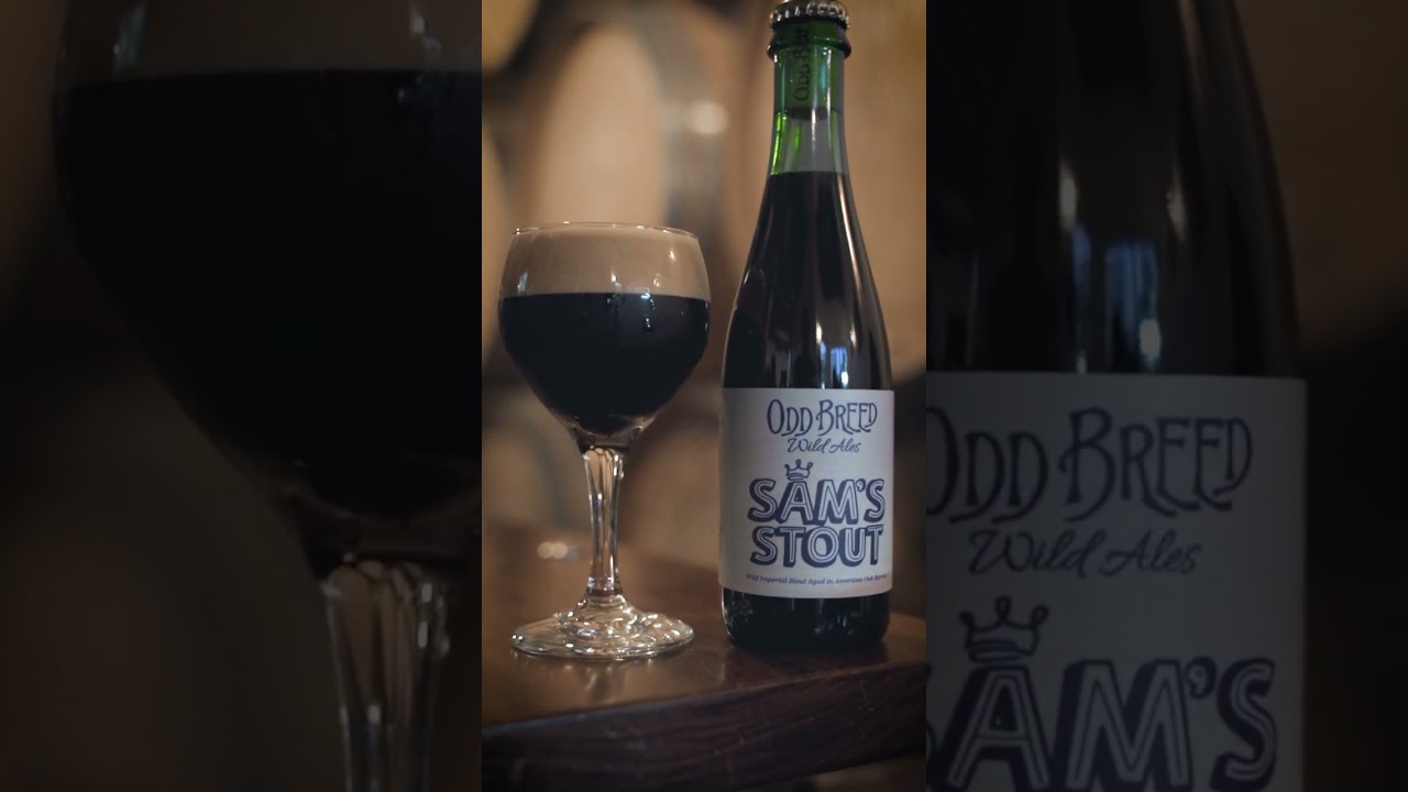 Sam's Stout - Odd Breed Wild Ales & Savage Lyfe Beer Co. | South Florida Breweries