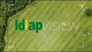 IDIAP VISIÓN | Temporada 1 - Capítulo 1 IDIAP VISIÓN | Temporada 1 - Capítulo 1
