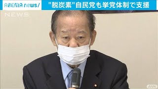 菅総理肝いり「脱炭素社会」自民党も挙党体制で支援(2020年11月11日)