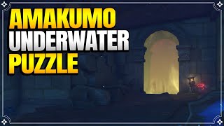 Amakumo Underwater Puzzle | World Quests and Puzzles |【Genshin Impact】