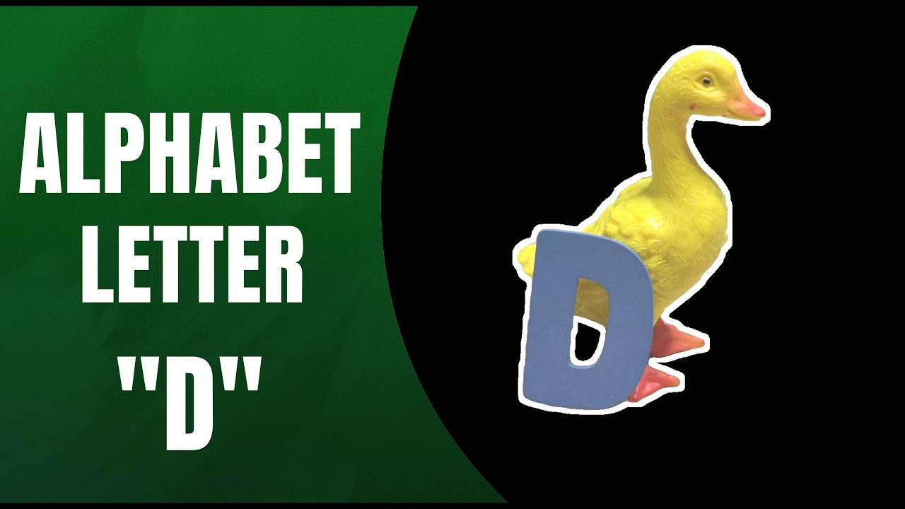 Learn D LEARN THE ALPHABET D FOR KIDS | LETTER D WORDS AND PHONICS | FUN ...