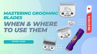 Mastering Grooming Blades | When & Where to Use Them