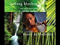 Tibetan music nawang khechog  music as medicine full