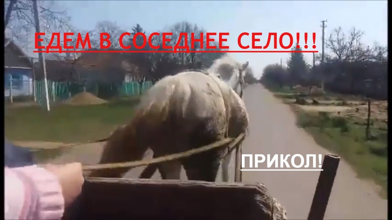 Едем едем на коне песня. Едем в соседнее село на лошадке. Конь в село соседнее понесёт меня. Лошади в селе Чермен. Лошадь села на Кол от забора.